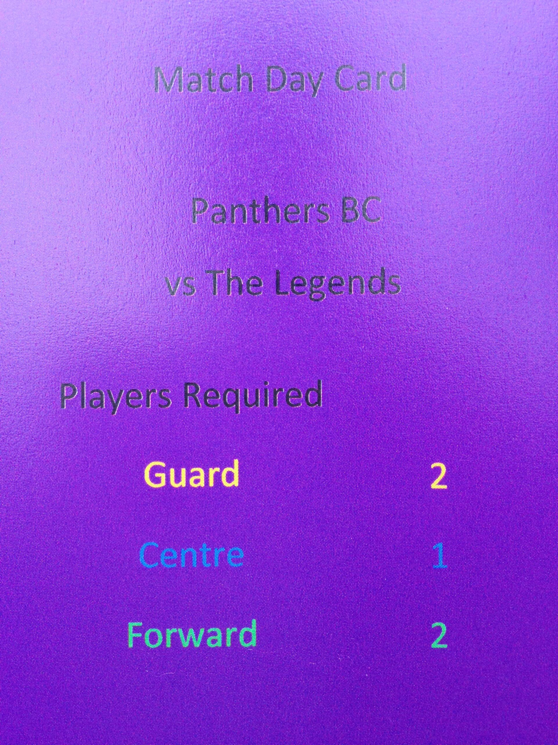 SP09 TOFGAM Panthers Basketball 5s Card Game - Image 4